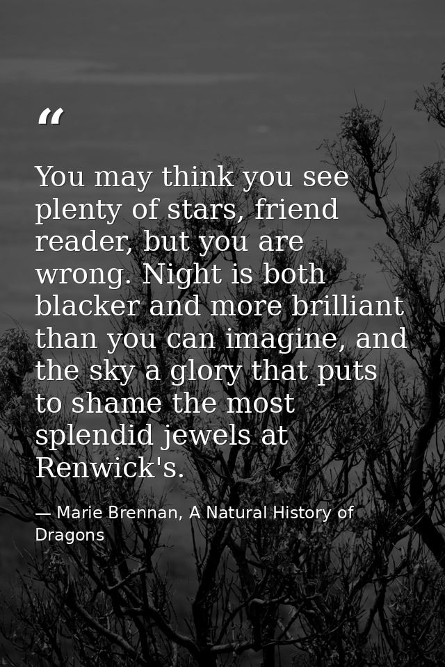 You may think you see plenty of stars, friend reader, but you are wrong. Night is both blacker and more brilliant than y — Marie Brennan, A Natural History of Dragons