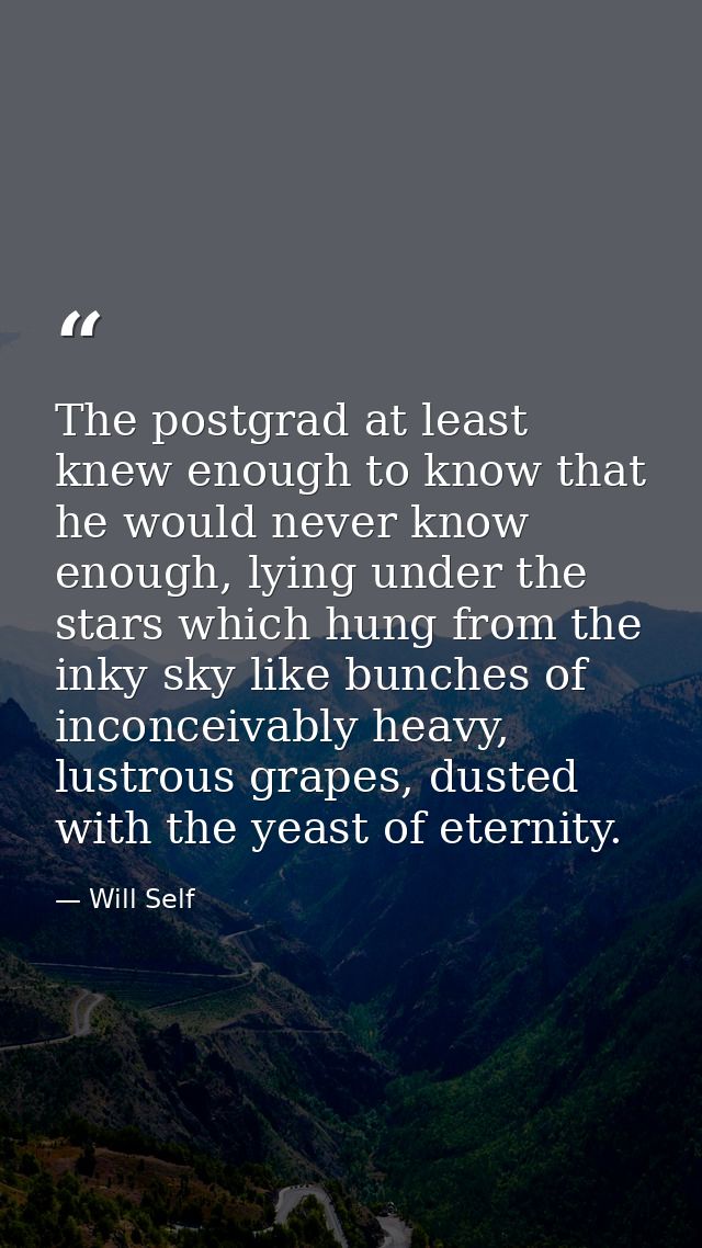 The postgrad at least knew enough to know that he would never know enough, lying under the stars which hung from the ink — Will Self