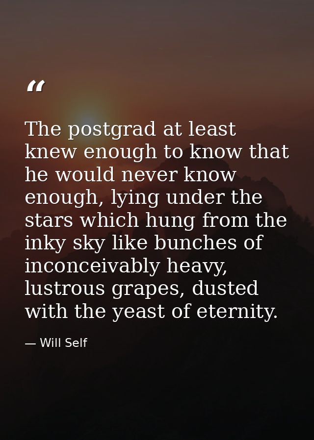 The postgrad at least knew enough to know that he would never know enough, lying under the stars which hung from the ink — Will Self