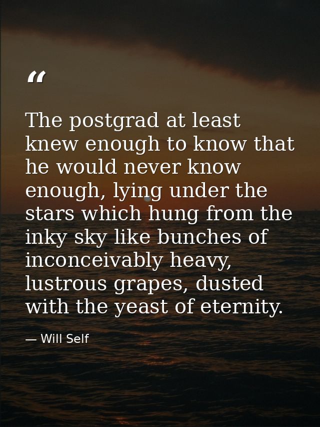 The postgrad at least knew enough to know that he would never know enough, lying under the stars which hung from the ink — Will Self
