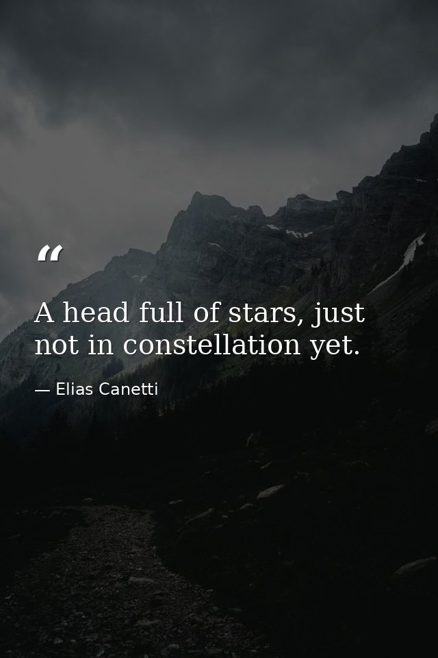A head full of stars, just not in constellation yet. — Elias Canetti