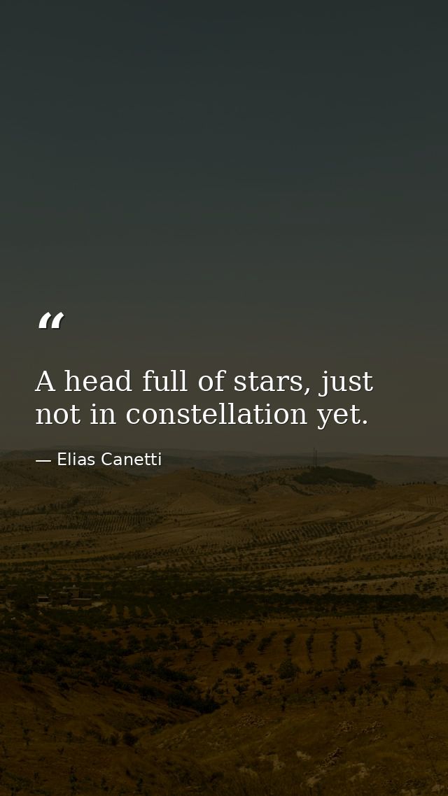 A head full of stars, just not in constellation yet. — Elias Canetti