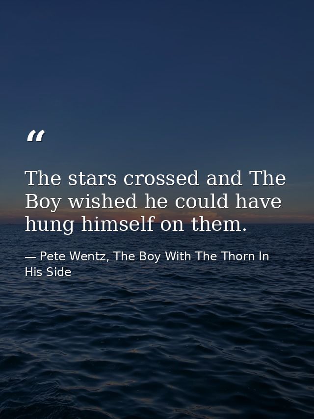 The stars crossed and The Boy wished he could have hung himself on them. — Pete Wentz, The Boy With The Thorn In His Side