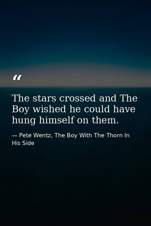 The stars crossed and The Boy wished he could have hung himself on them. — Pete Wentz, The Boy With The Thorn In His Side