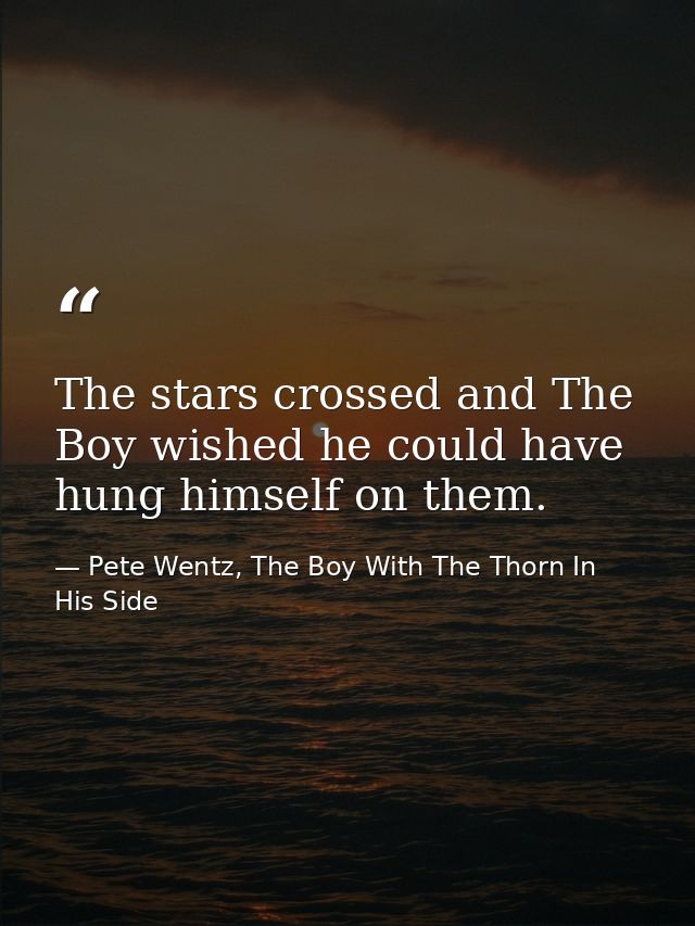 The stars crossed and The Boy wished he could have hung himself on them. — Pete Wentz, The Boy With The Thorn In His Side