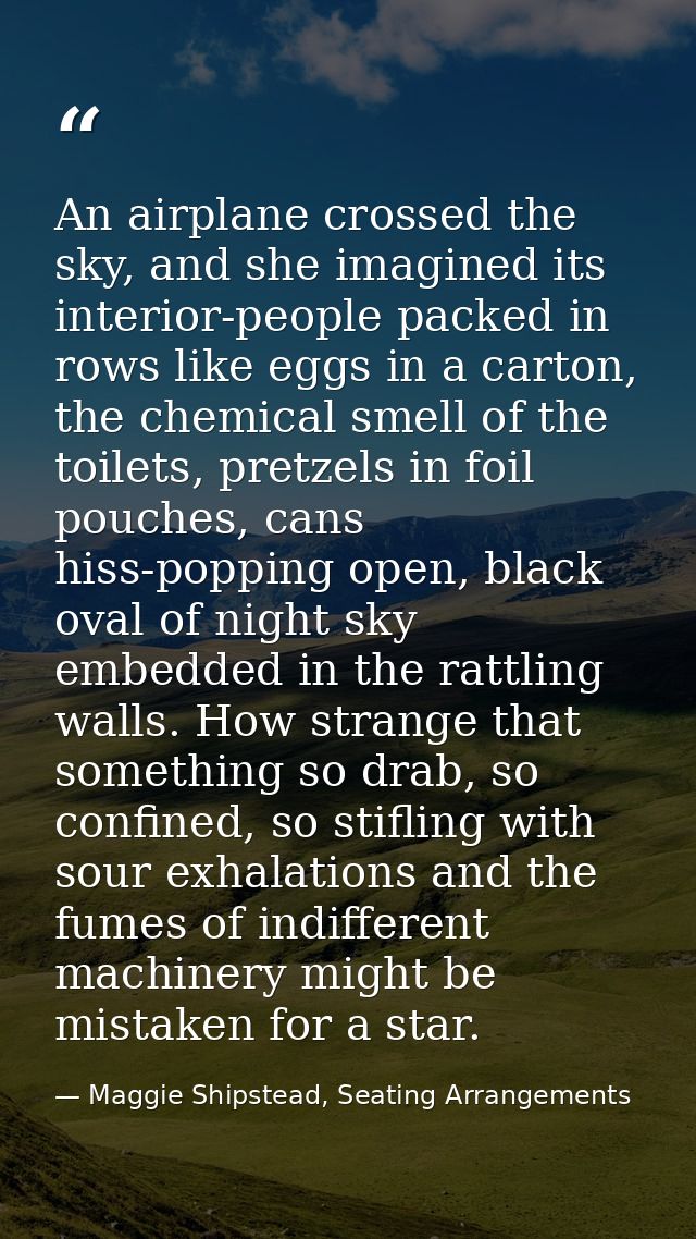 An airplane crossed the sky, and she imagined its interior-people packed in rows like eggs in a carton, the chemical sme — Maggie Shipstead, Seating Arrangements