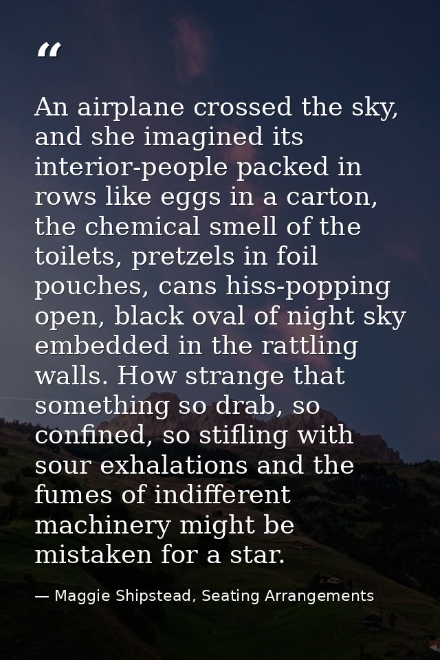 An airplane crossed the sky, and she imagined its interior-people packed in rows like eggs in a carton, the chemical sme — Maggie Shipstead, Seating Arrangements
