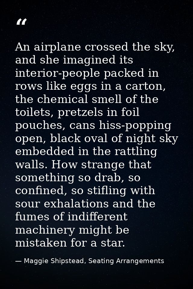 An airplane crossed the sky, and she imagined its interior-people packed in rows like eggs in a carton, the chemical sme — Maggie Shipstead, Seating Arrangements