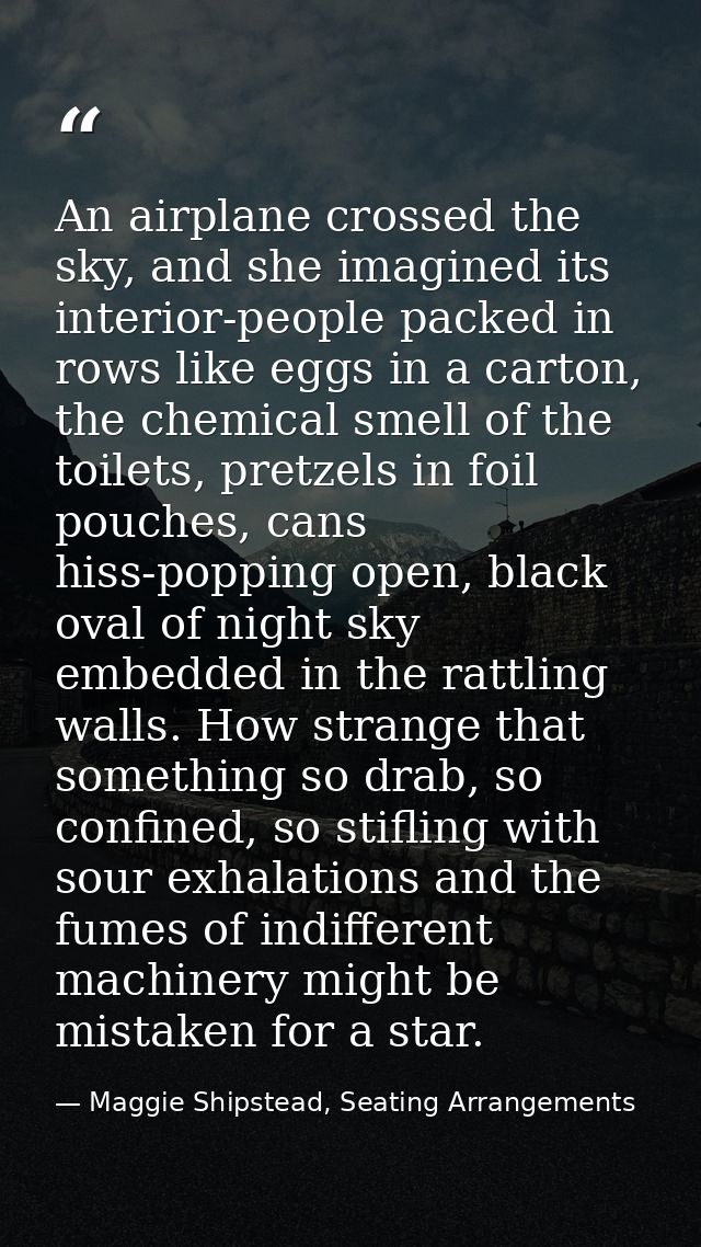 An airplane crossed the sky, and she imagined its interior-people packed in rows like eggs in a carton, the chemical sme — Maggie Shipstead, Seating Arrangements