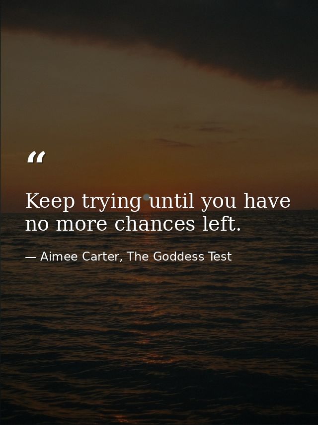 Keep trying until you have no more chances left. — Aimee Carter, The Goddess Test