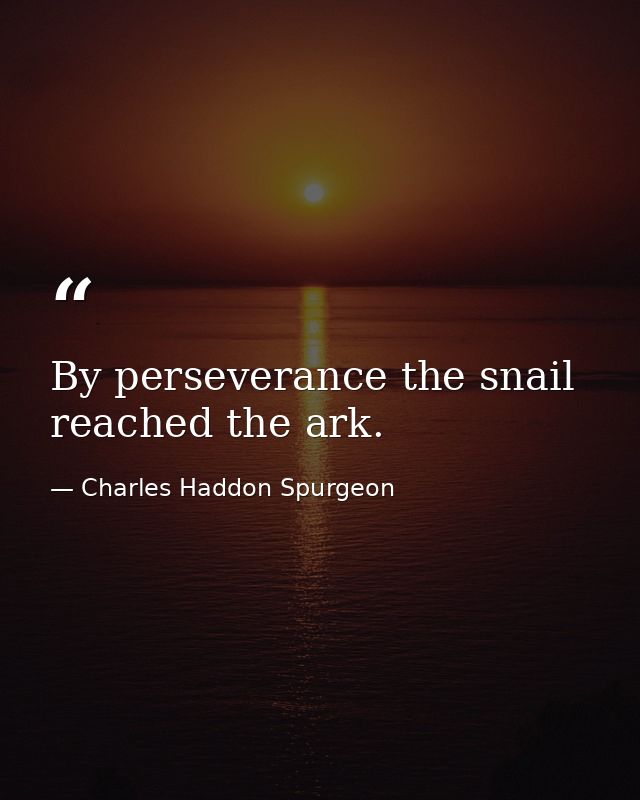 By perseverance the snail reached the ark. — Charles Haddon Spurgeon