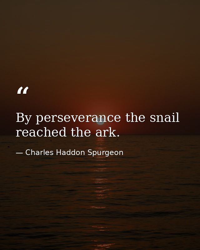 By perseverance the snail reached the ark. — Charles Haddon Spurgeon