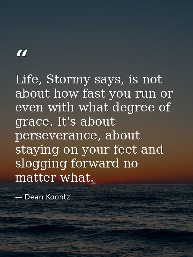 Life, Stormy says, is not about how fast you run or even with what degree of grace. It's about perseverance, about stayi — Dean Koontz