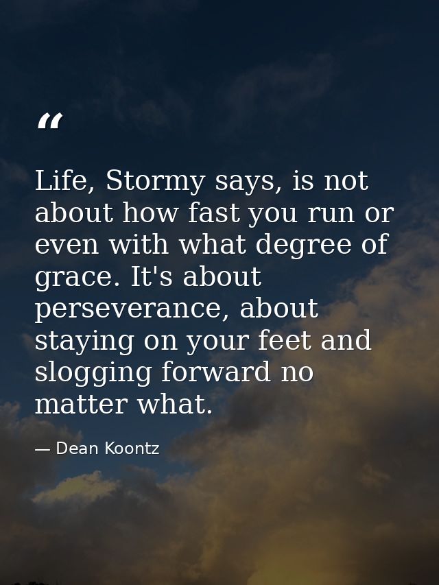 Life, Stormy says, is not about how fast you run or even with what degree of grace. It's about perseverance, about stayi — Dean Koontz
