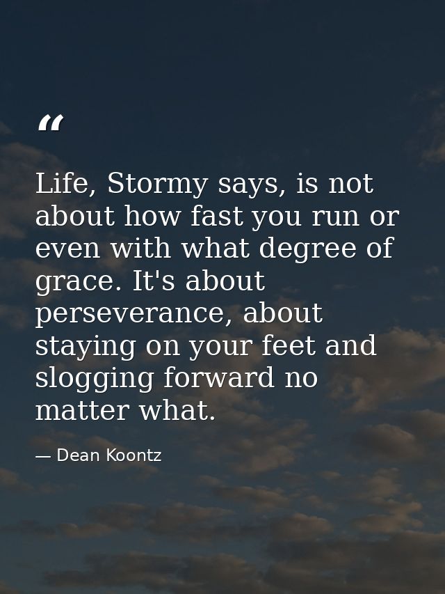 Life, Stormy says, is not about how fast you run or even with what degree of grace. It's about perseverance, about stayi — Dean Koontz