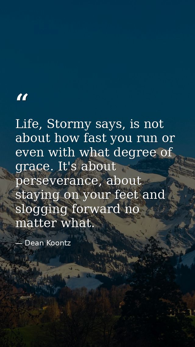 Life, Stormy says, is not about how fast you run or even with what degree of grace. It's about perseverance, about stayi — Dean Koontz