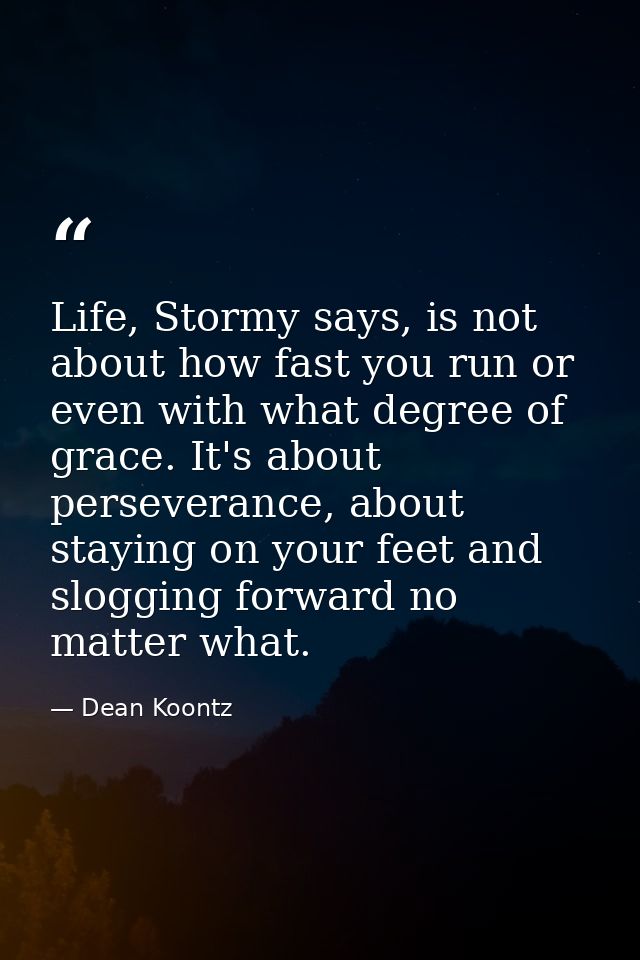 Life, Stormy says, is not about how fast you run or even with what degree of grace. It's about perseverance, about stayi — Dean Koontz