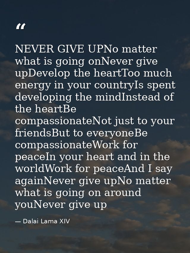 NEVER GIVE UPNo matter what is going onNever give upDevelop the heartToo much energy in your countryIs spent developing  — Dalai Lama XIV