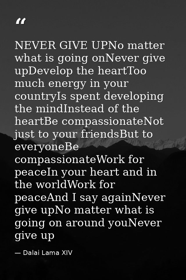 NEVER GIVE UPNo matter what is going onNever give upDevelop the heartToo much energy in your countryIs spent developing  — Dalai Lama XIV