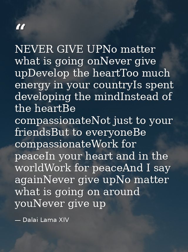 NEVER GIVE UPNo matter what is going onNever give upDevelop the heartToo much energy in your countryIs spent developing  — Dalai Lama XIV