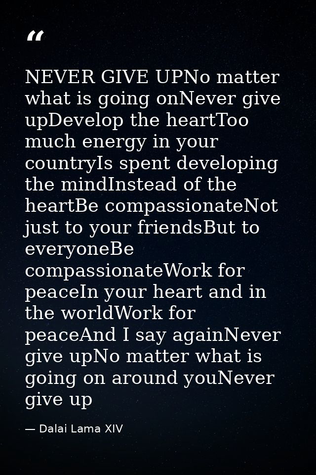 NEVER GIVE UPNo matter what is going onNever give upDevelop the heartToo much energy in your countryIs spent developing  — Dalai Lama XIV