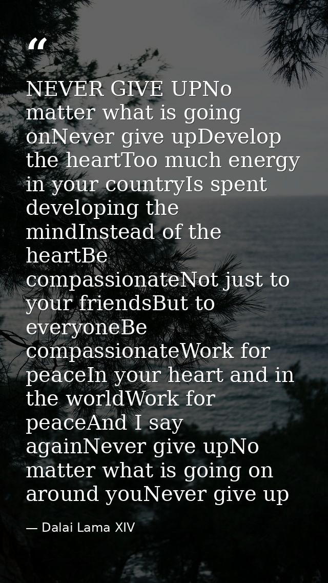 NEVER GIVE UPNo matter what is going onNever give upDevelop the heartToo much energy in your countryIs spent developing  — Dalai Lama XIV