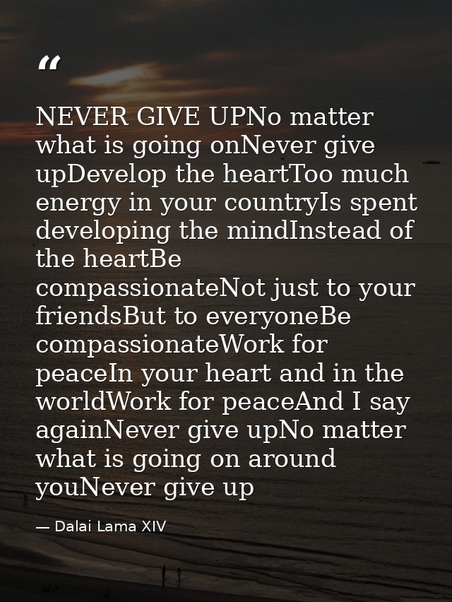 NEVER GIVE UPNo matter what is going onNever give upDevelop the heartToo much energy in your countryIs spent developing  — Dalai Lama XIV