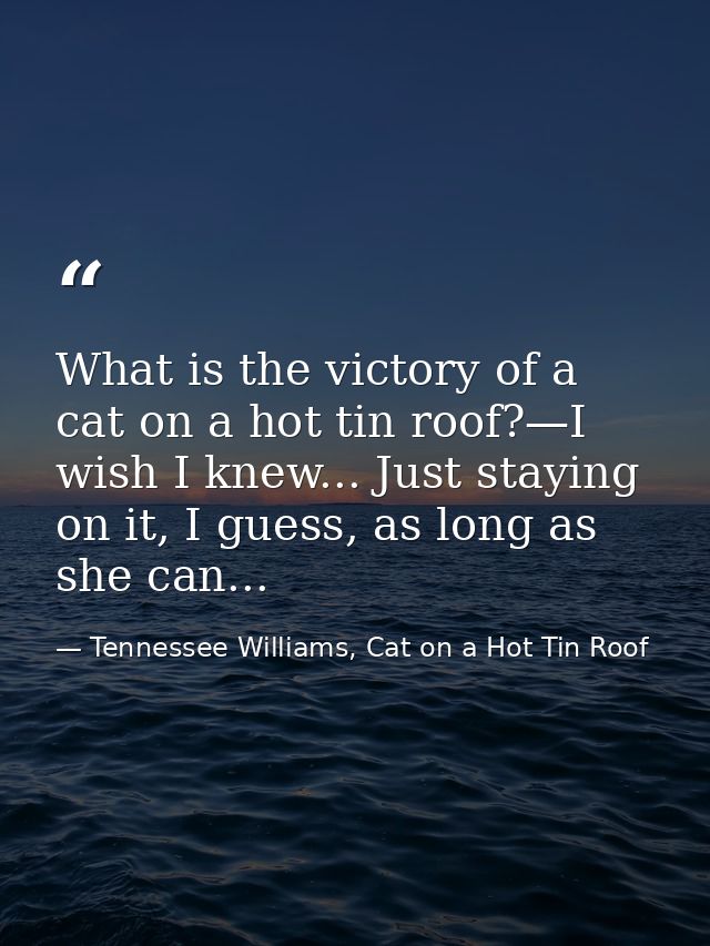 What is the victory of a cat on a hot tin roof?—I wish I knew... Just staying on it, I guess, as long as she can... — Tennessee Williams, Cat on a Hot Tin Roof