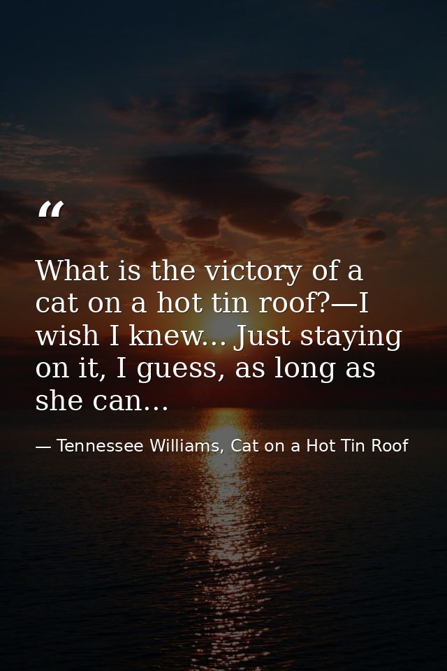 What is the victory of a cat on a hot tin roof?—I wish I knew... Just staying on it, I guess, as long as she can... — Tennessee Williams, Cat on a Hot Tin Roof