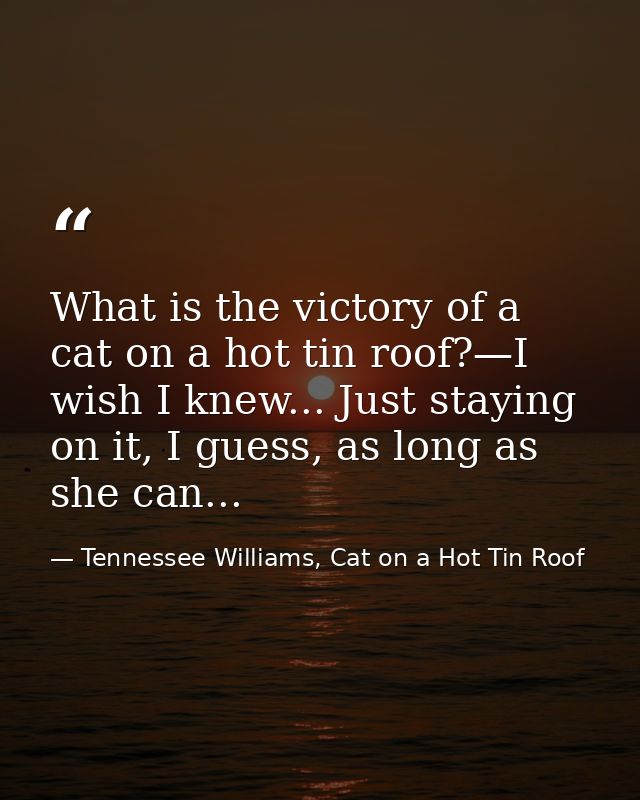 What is the victory of a cat on a hot tin roof?—I wish I knew... Just staying on it, I guess, as long as she can... — Tennessee Williams, Cat on a Hot Tin Roof