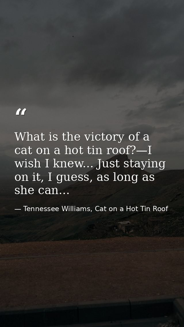 What is the victory of a cat on a hot tin roof?—I wish I knew... Just staying on it, I guess, as long as she can... — Tennessee Williams, Cat on a Hot Tin Roof