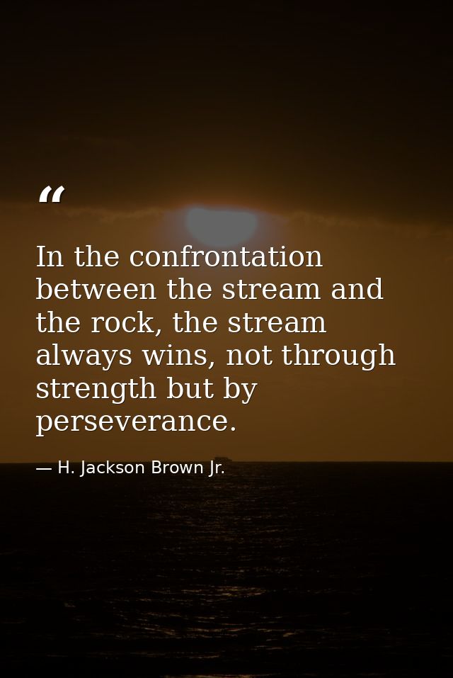 In the confrontation between the stream and the rock, the stream always wins, not through strength but by perseverance. — H. Jackson Brown Jr.