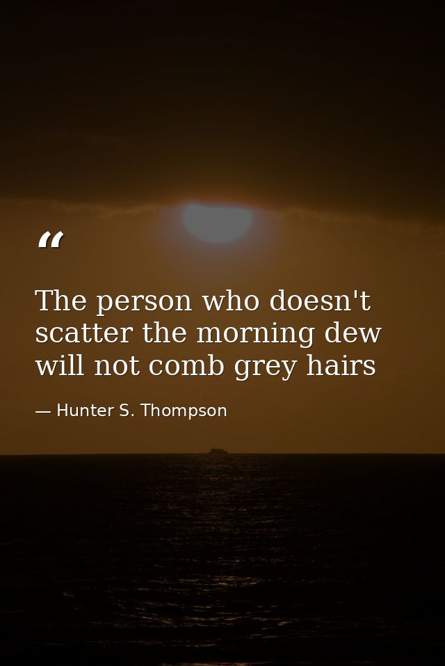 The person who doesn't scatter the morning dew will not comb grey hairs — Hunter S. Thompson