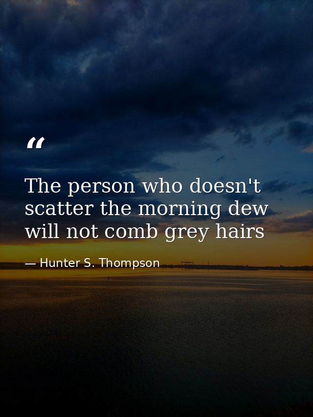 The person who doesn't scatter the morning dew will not comb grey hairs — Hunter S. Thompson