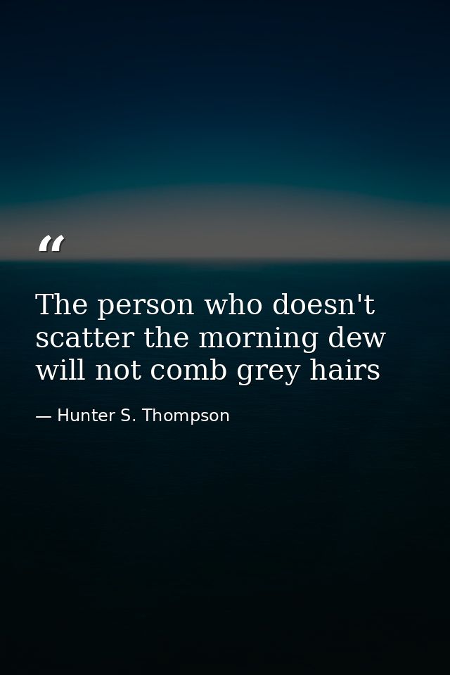 The person who doesn't scatter the morning dew will not comb grey hairs — Hunter S. Thompson