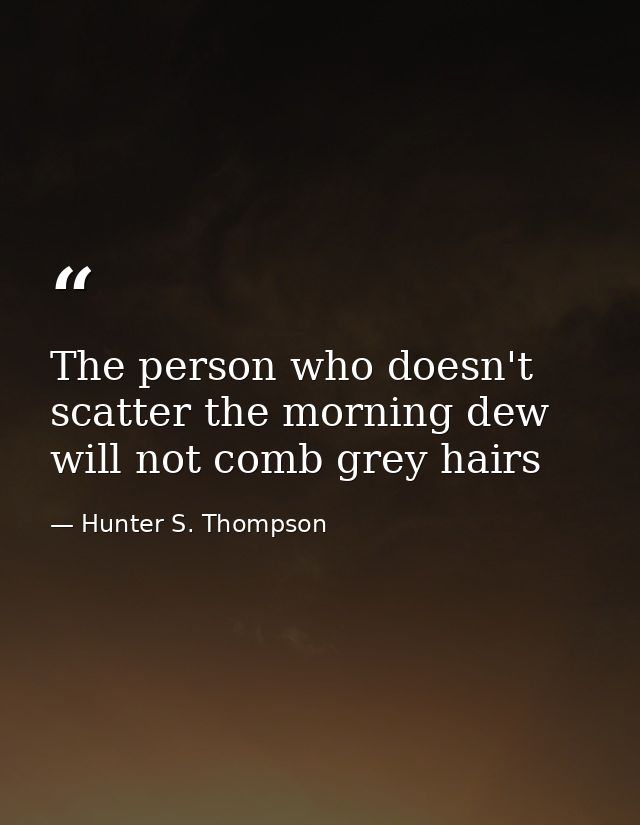 The person who doesn't scatter the morning dew will not comb grey hairs — Hunter S. Thompson