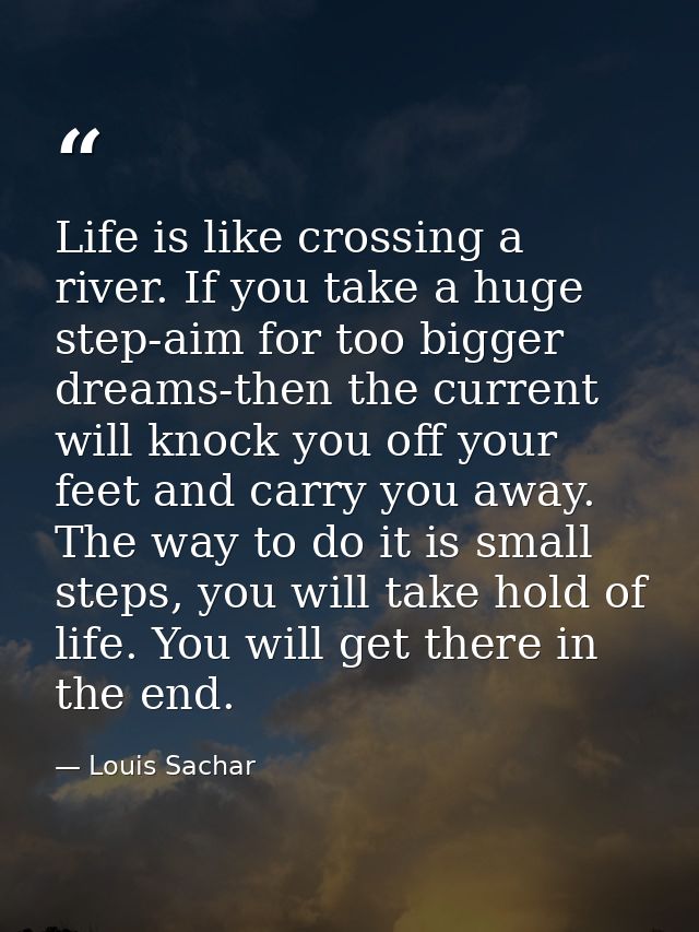 Life is like crossing a river. If you take a huge step-aim for too bigger dreams-then the current will knock you off you — Louis Sachar