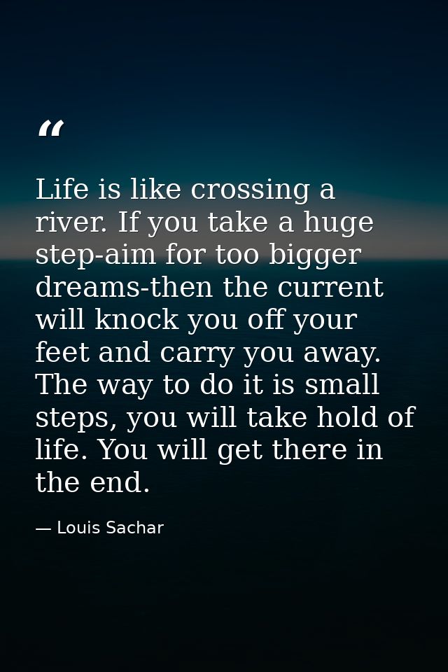 Life is like crossing a river. If you take a huge step-aim for too bigger dreams-then the current will knock you off you — Louis Sachar