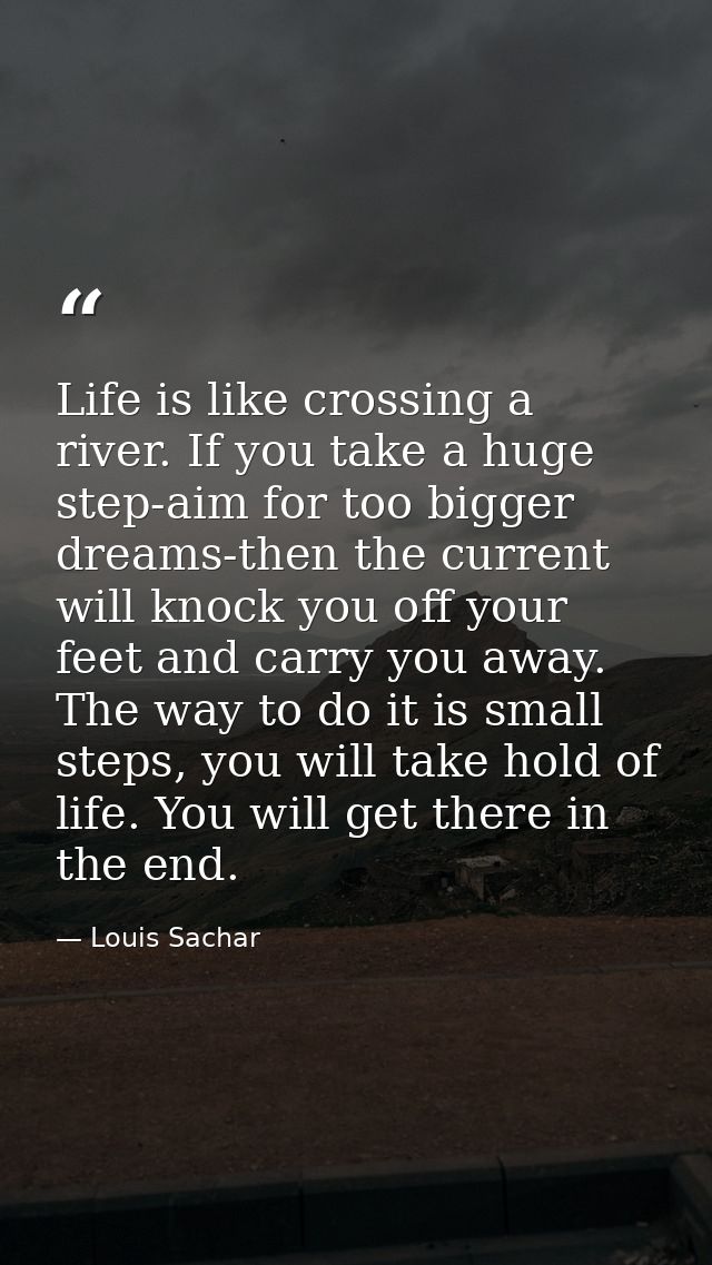 Life is like crossing a river. If you take a huge step-aim for too bigger dreams-then the current will knock you off you — Louis Sachar