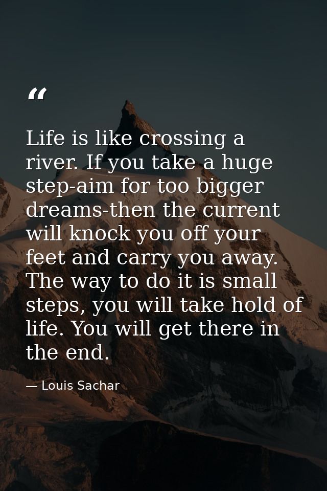Life is like crossing a river. If you take a huge step-aim for too bigger dreams-then the current will knock you off you — Louis Sachar