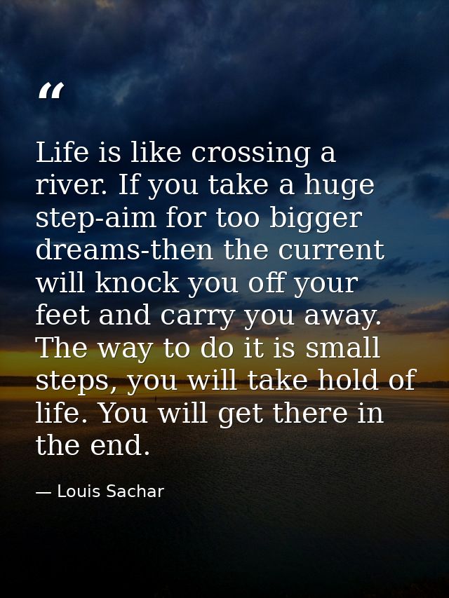 Life is like crossing a river. If you take a huge step-aim for too bigger dreams-then the current will knock you off you — Louis Sachar