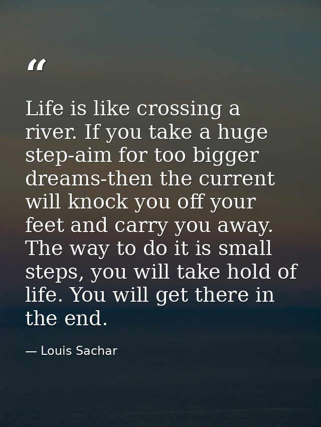 Life is like crossing a river. If you take a huge step-aim for too bigger dreams-then the current will knock you off you — Louis Sachar