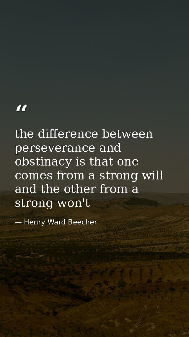 the difference between perseverance and obstinacy is that one comes from a strong will and the other from a strong won't — Henry Ward Beecher
