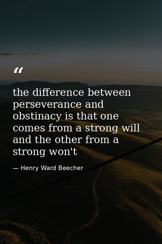 the difference between perseverance and obstinacy is that one comes from a strong will and the other from a strong won't — Henry Ward Beecher