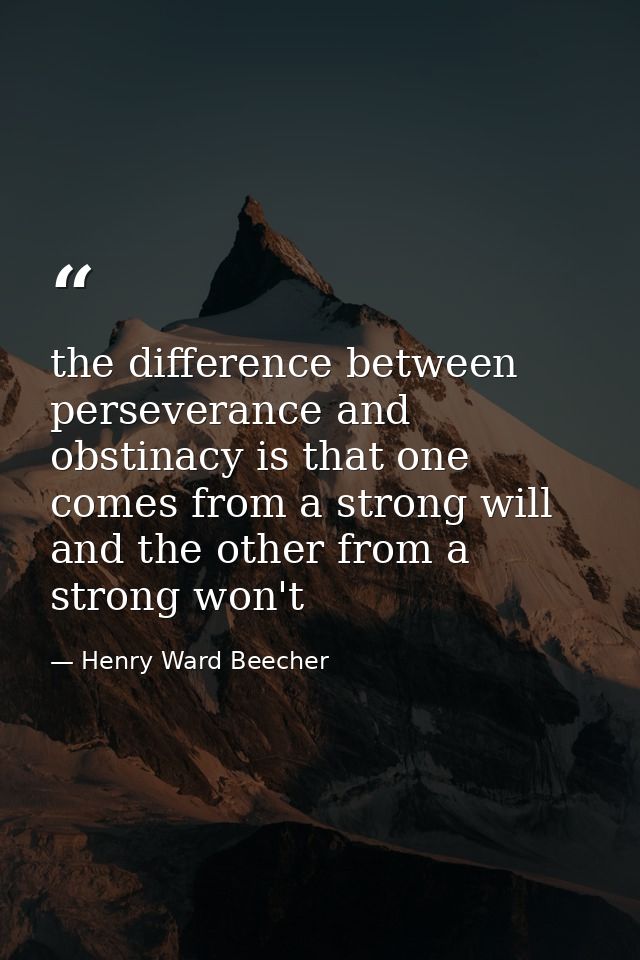 the difference between perseverance and obstinacy is that one comes from a strong will and the other from a strong won't — Henry Ward Beecher