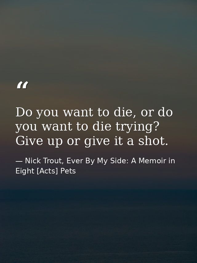 Do you want to die, or do you want to die trying? Give up or give it a shot. — Nick Trout, Ever By My Side: A Memoir in Eight [Acts] Pets