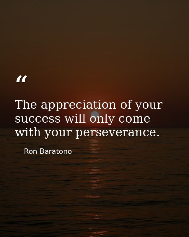 The appreciation of your success will only come with your perseverance. — Ron Baratono