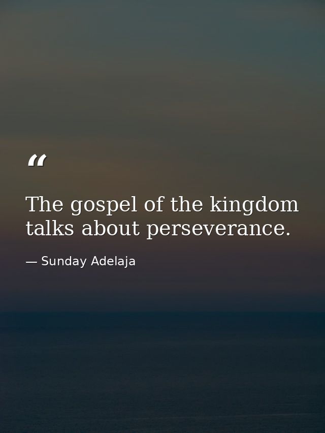 The gospel of the kingdom talks about perseverance. — Sunday Adelaja