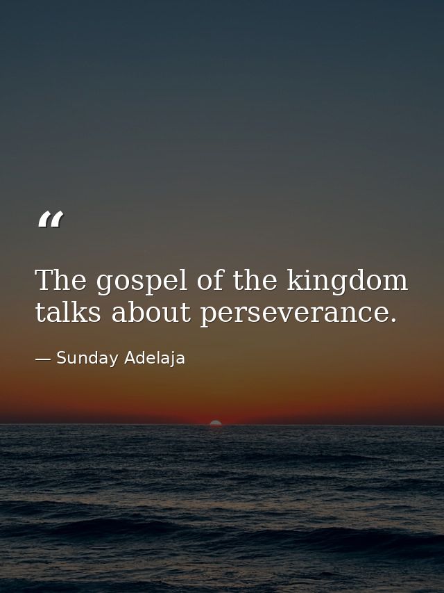 The gospel of the kingdom talks about perseverance. — Sunday Adelaja