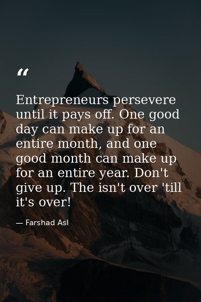 Entrepreneurs persevere until it pays off. One good day can make up for an entire month, and one good month can make up  — Farshad Asl